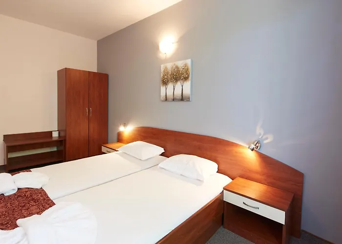 בית הארחה Kirov