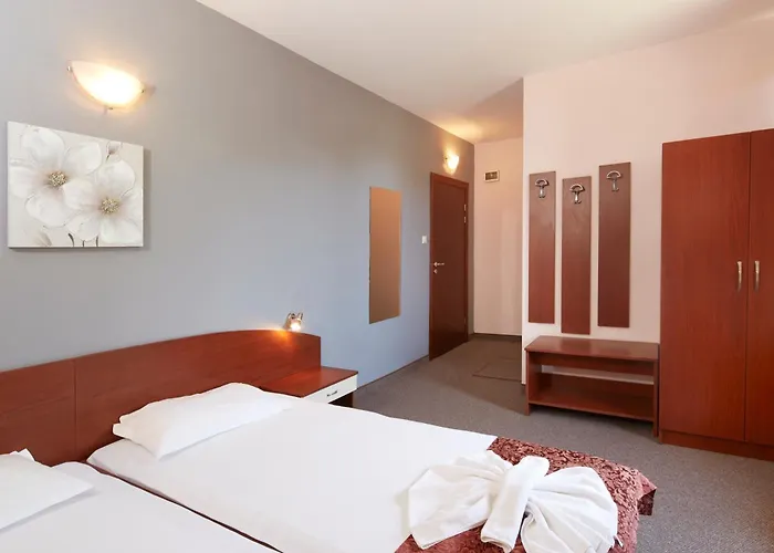 Kirov בית הארחה 4*